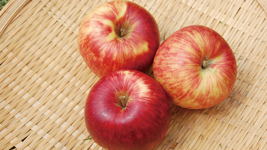 ライラック農園さんの サンふじ(3個)