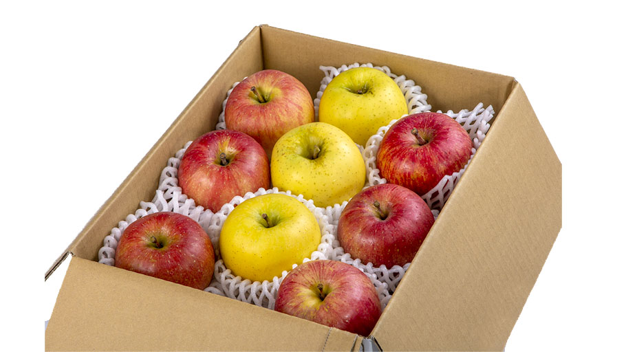 ☆りんご X39.49.AEON 3点セット ☆りんご様専用 X39.49.AEON 3点セット