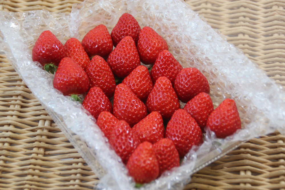 さちのかいちご(1月31日着)【小粒スレ有】