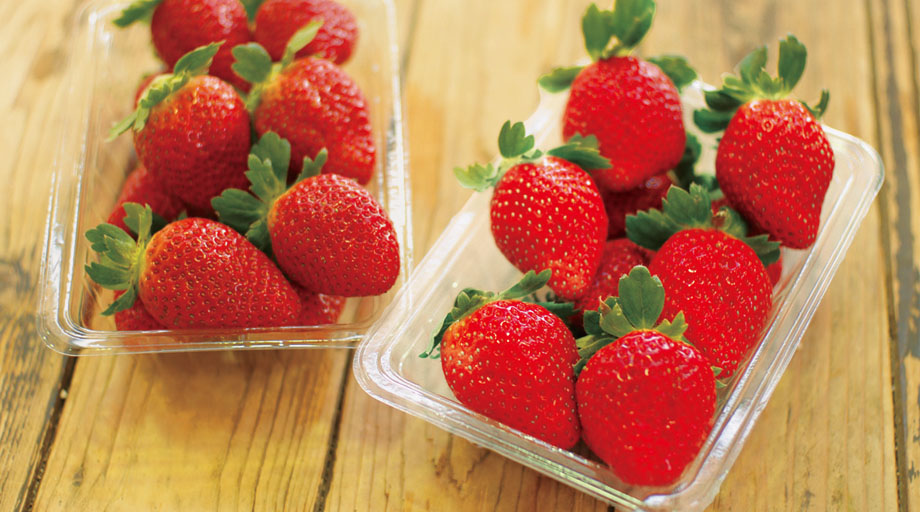 モクモク農場冬いちご「さちのか」1/18～