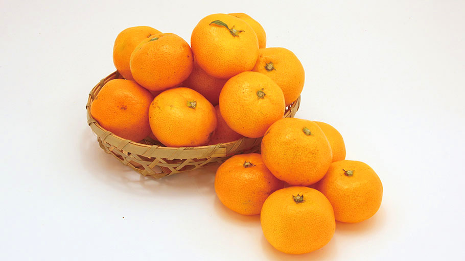 小粒 有田みかん