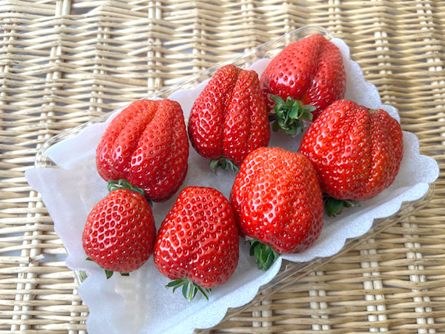 モクモク農場 春いちご【3/12着】