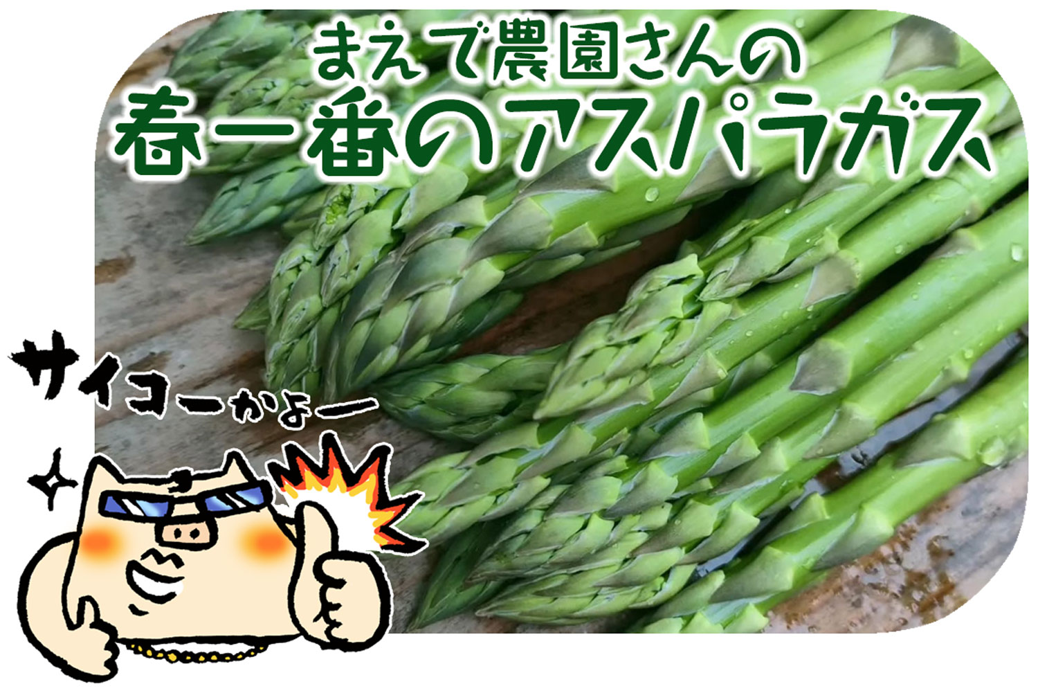 まえで農園さんの春アスパラガス