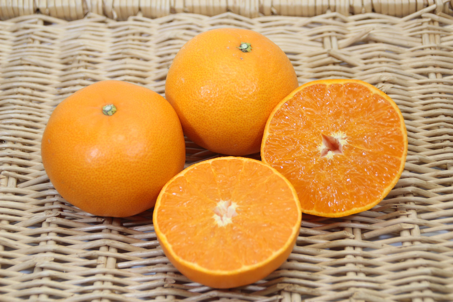 柑橘の大トロ『せとか』2玉