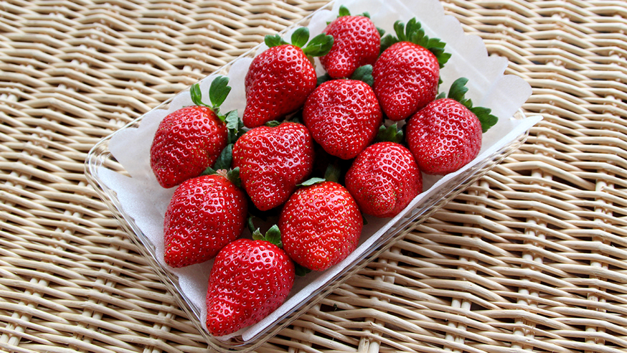 モクモク農場　春いちご【3/28着】