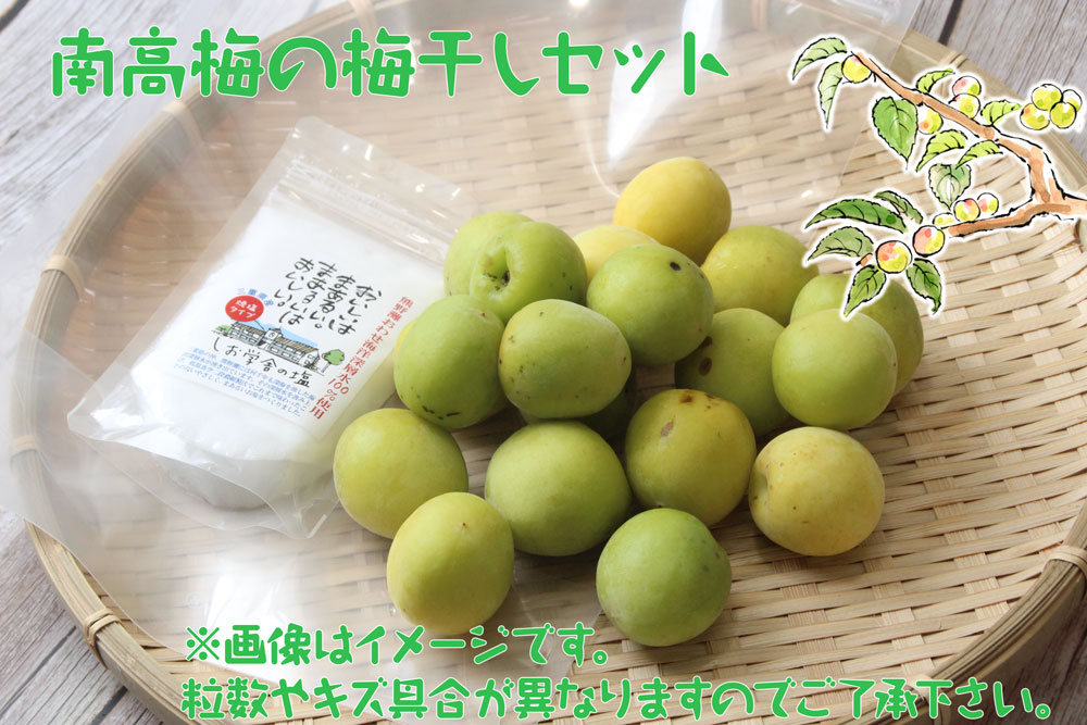 南高梅としお学舎の塩でつくる梅干しセット
