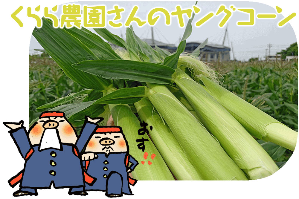 【6/12着】くらら農園さんヤングコーン5本