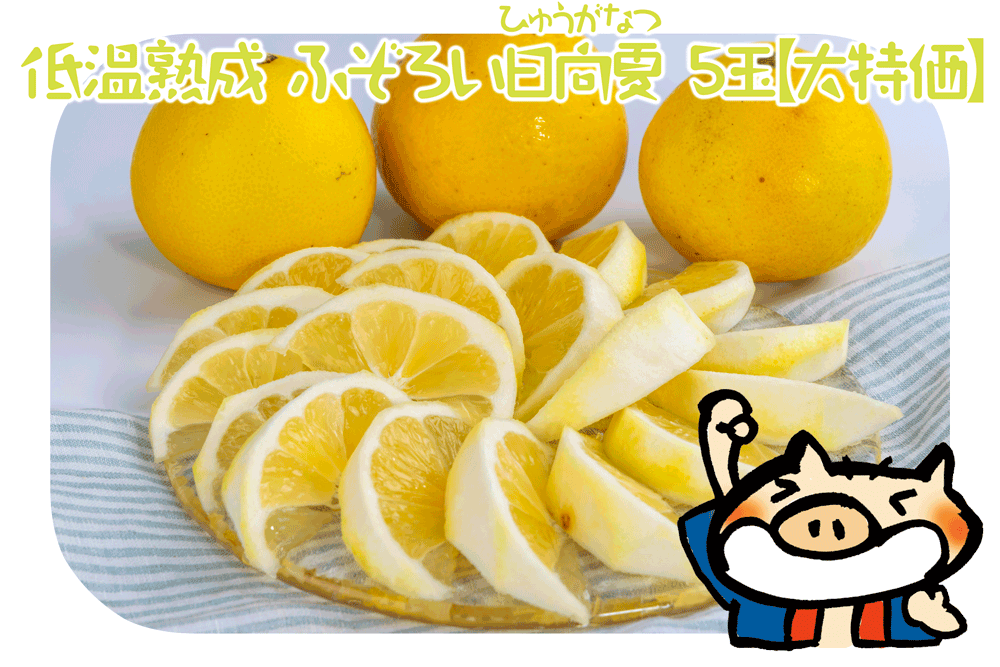 熟成ふぞろい日向夏Lサイズ5玉【大特価】