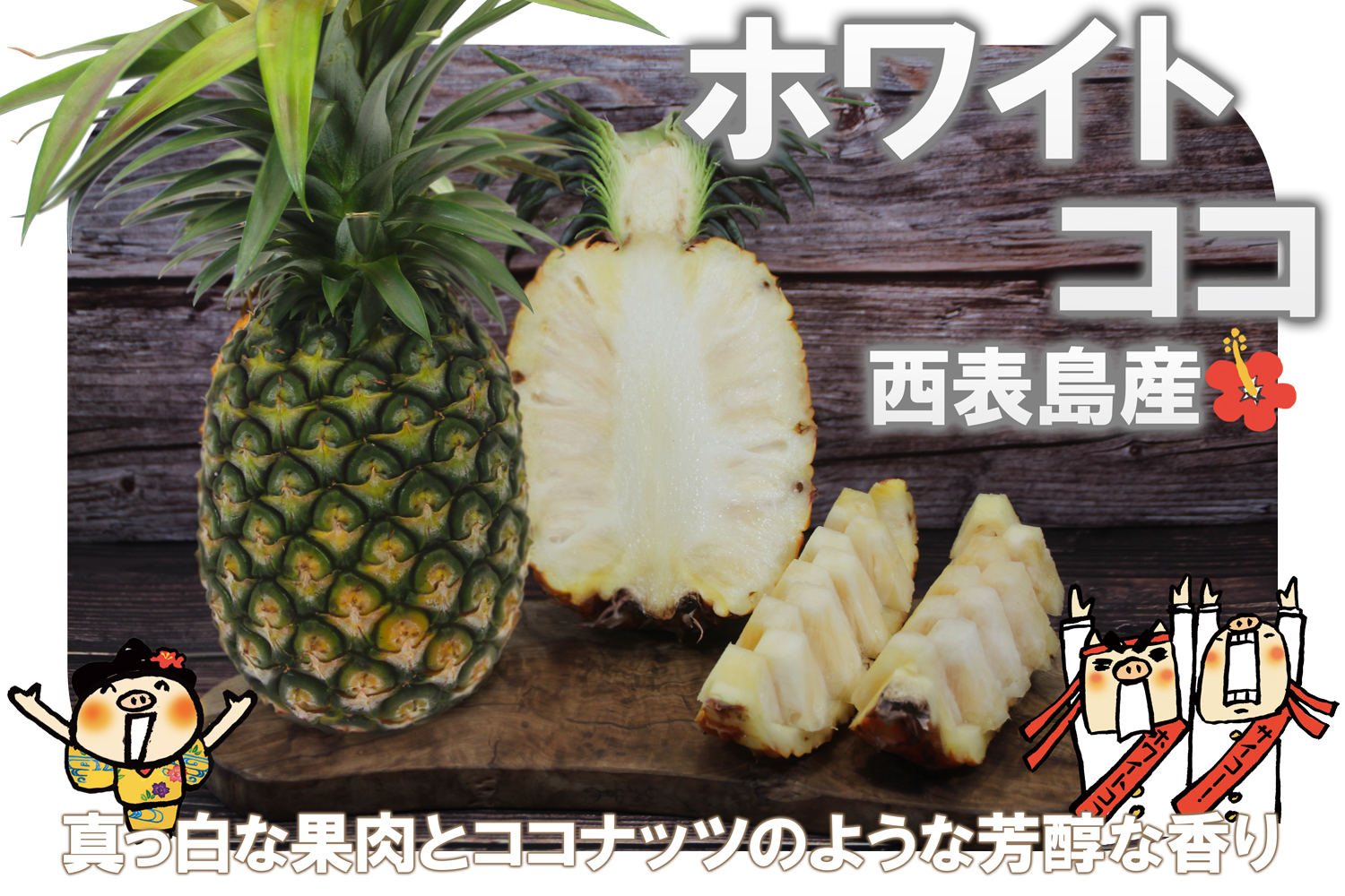 西表島産ホワイトココ