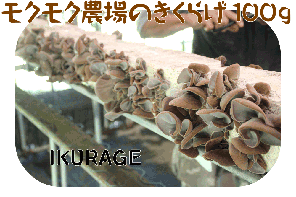 モクモク農場のきくらげ100g