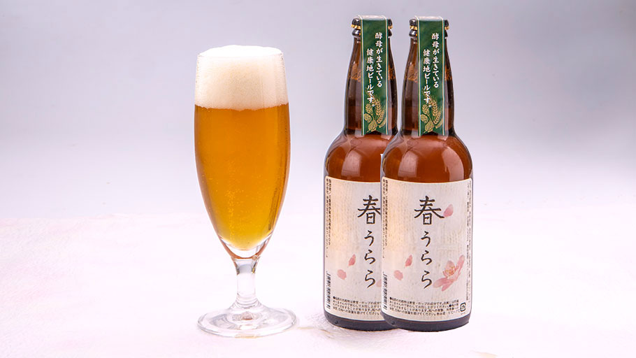 春うらら　2本組